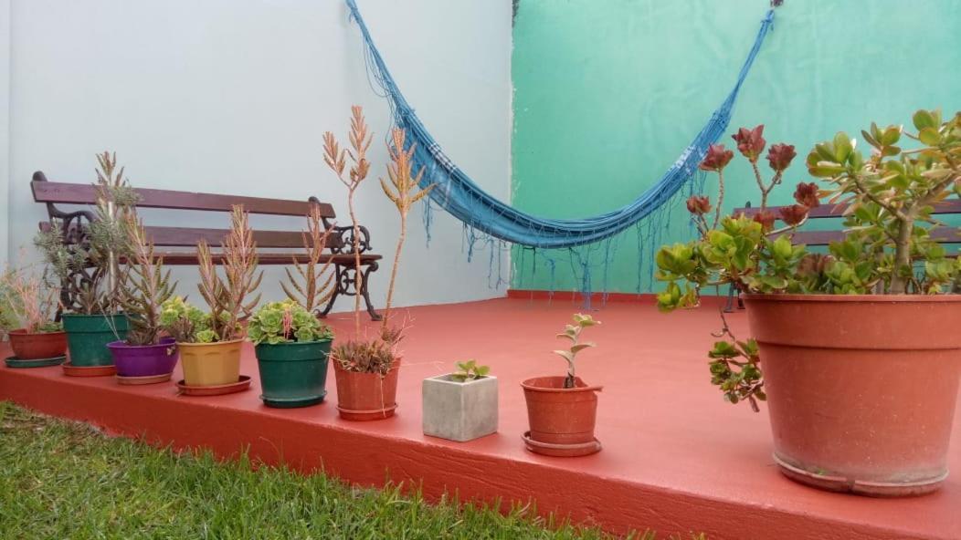 La Plata Hostel Ngoại thất bức ảnh